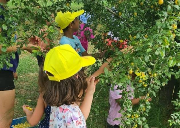 Coldiretti Cremona: centri estivi in fattoria didattica, bellissima avventura