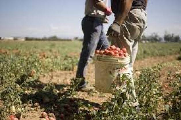Lotta allo sfruttamento lavorativo in agricoltura e al caporalato