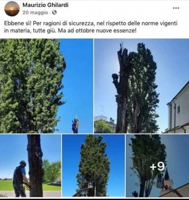 Gli alberi tagliati in Via Crocile (lato chiesta Boschetto) saranno sostituiti da nuove essenze.