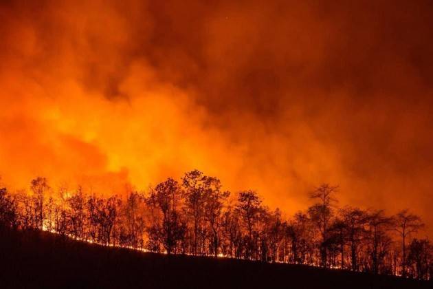 MENTRE SI SPENGONO GLI ULTIMI INCENDI IN SARDEGNA SI CERCANO I COLPEVOLI