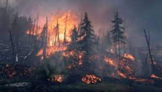 Sardegna, Siberia, Canada, Usa: un pianeta devastato dalle fiamme
