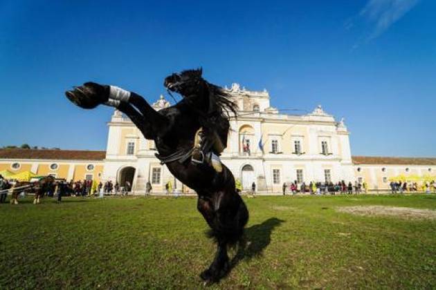 Villa Reale Monza e Reggia Carditello si promuovono insieme