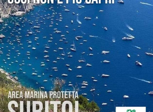 Troppe barche sotto costa a Capri, il Comune mette boe e barriere