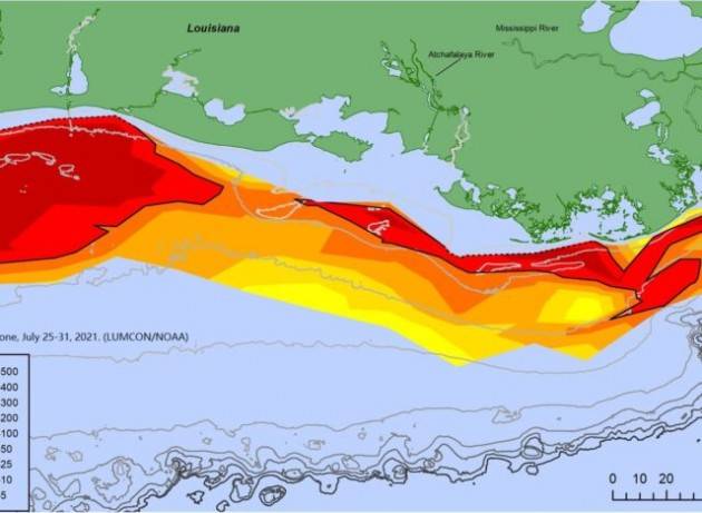 Nel Golfo del Messico una zona morta grande quasi quanto il Lazio