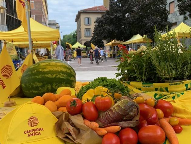 Coldiretti Campagna Amica: anguria, una delizia a Crema e Cremona