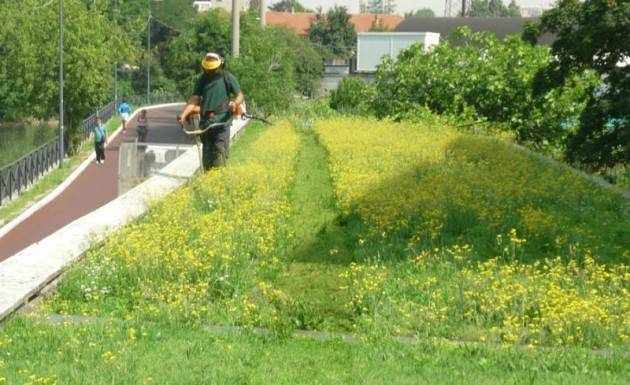 Manutenzione del verde cittadino, al via il diserbo biochimico
