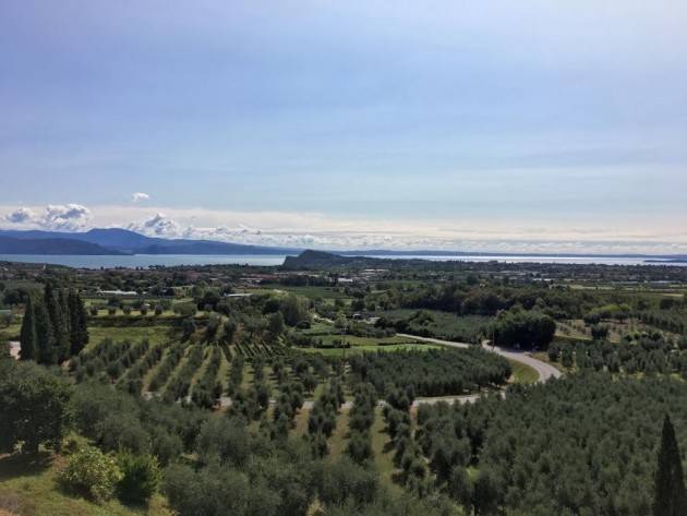 Alla scoperta dei vini della provincia di Brescia