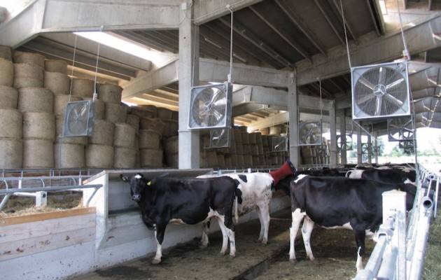 Colldiretti Caldo, doccette, ventilatori e pasti più leggeri