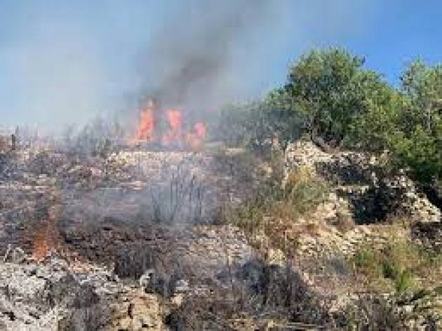 Incendi in Sicilia e Calabria: non è una guerra, è una mattanza