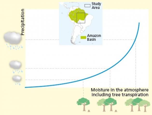 la deforestazione in Amazzonia riduce le piogge