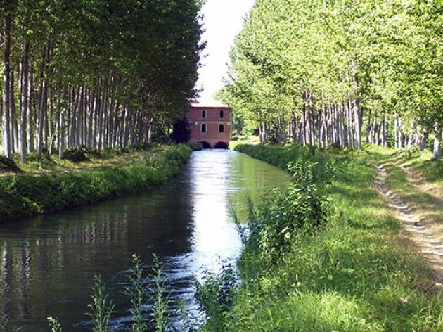 Cremona anziché tagliare alberi , pulite le ciclabili | Ave Maria Galli Cremona