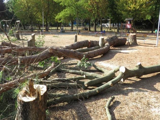 Cremona senza alberi non è più la mia città | Cristina Barbieri