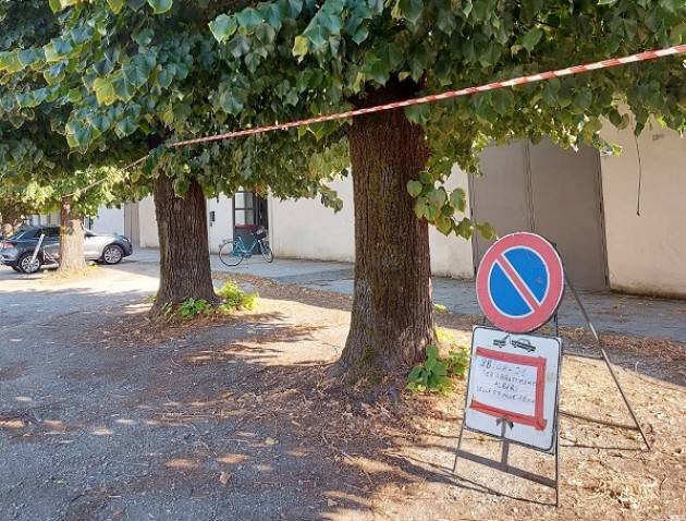 Cr Taglio Alberi ‘Avanti tutta’ Continuano le segnalazione dei cittadini