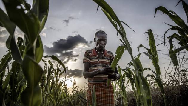 Cresce l’insicurezza alimentare nel mondo