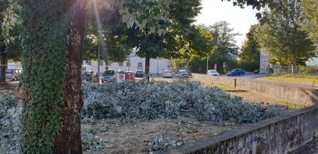 CR Taglio Alberi . E' toccato al parcheggio vicino a San Zeno