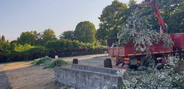CR Taglio Alberi . E' toccato al parcheggio vicino a San Zeno