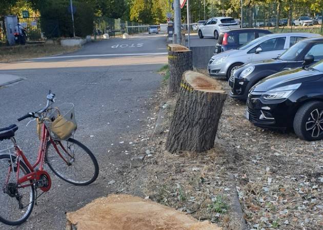 CR Taglio Alberi . E' toccato al parcheggio vicino a San Zeno