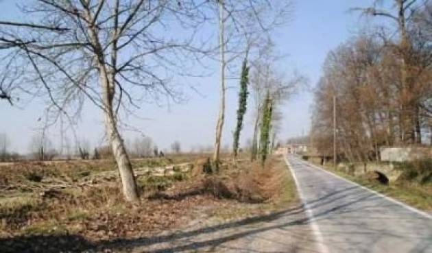 Cr Alberi Tagliati in città. Le denunce 2011 e 2012 con sindaco Perri |GCStorti