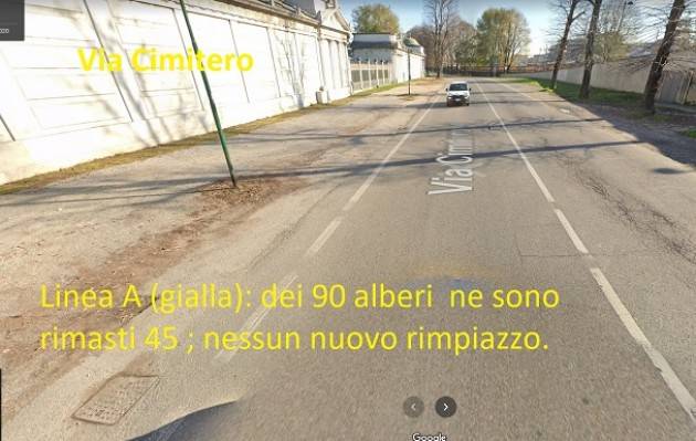 CR Alberi Tagliati  Zona Cimitero ne sono spariti 165 | GCStorti