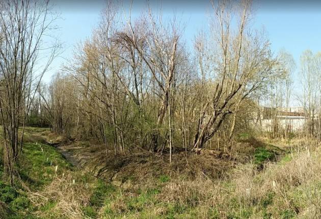 Alberi Spazi verdi urbani, c’è la legge 6/2013. Che obbliga il Comune ad una serie di azioni