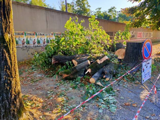 Piantiamo un albero per abitante | Comunità Laudato SI'