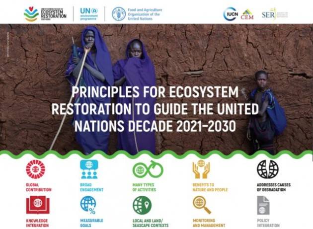 I 10 principi guida per far rivivere la Terra