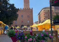Coldiretti Campagna Amica domani in piazza Stradivari a Cremona