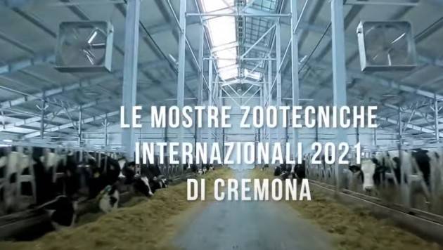 Cremona FIERE ZOOTECNICHE, MOSTRA E ASTA BOVINA 26-28 Novembre 2021