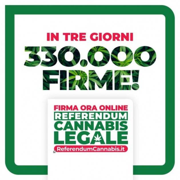 Firma per Referendum Cannabis Legale | Franco Bordo