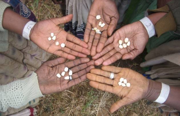 Grano migliore con colture sostenibili: il nuovo studio della Sant’Anna di Pisa in Etiopia