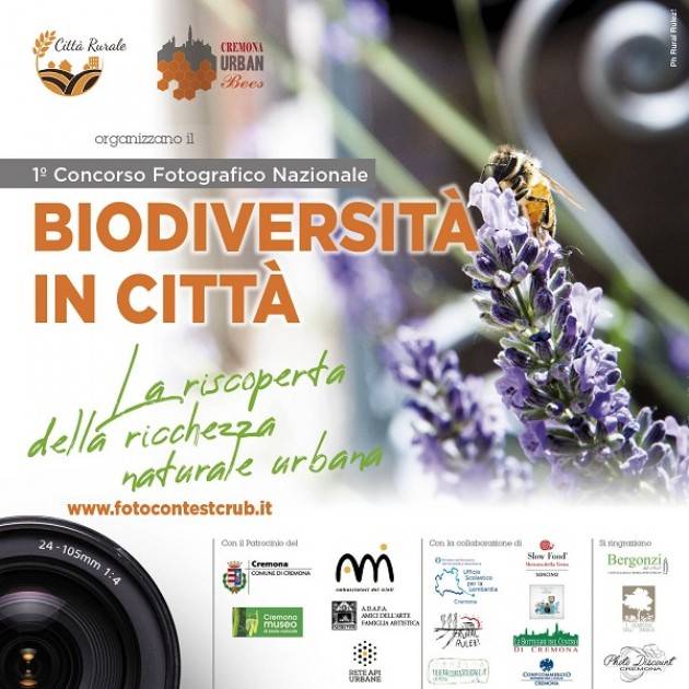 CREMONA ‘Biodiversità in città: la riscoperta della ricchezza naturale urbana’