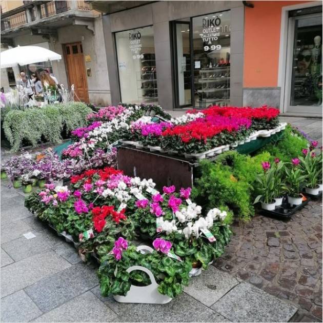 Cremona Un successo le ‘Invasioni Botaniche’ del 2021