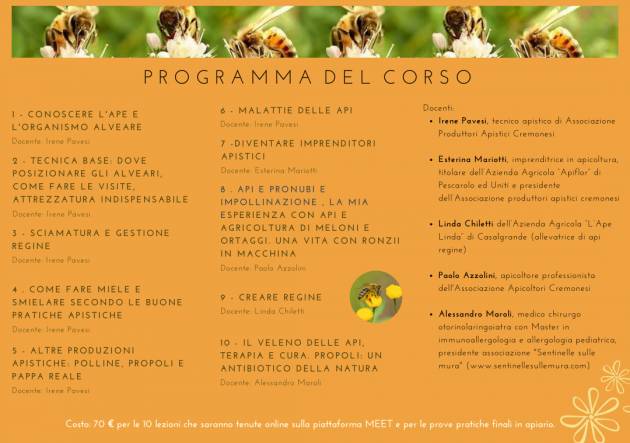 Soroptimist Club Terre dell’Oglio Po API-AMO IL MONDO