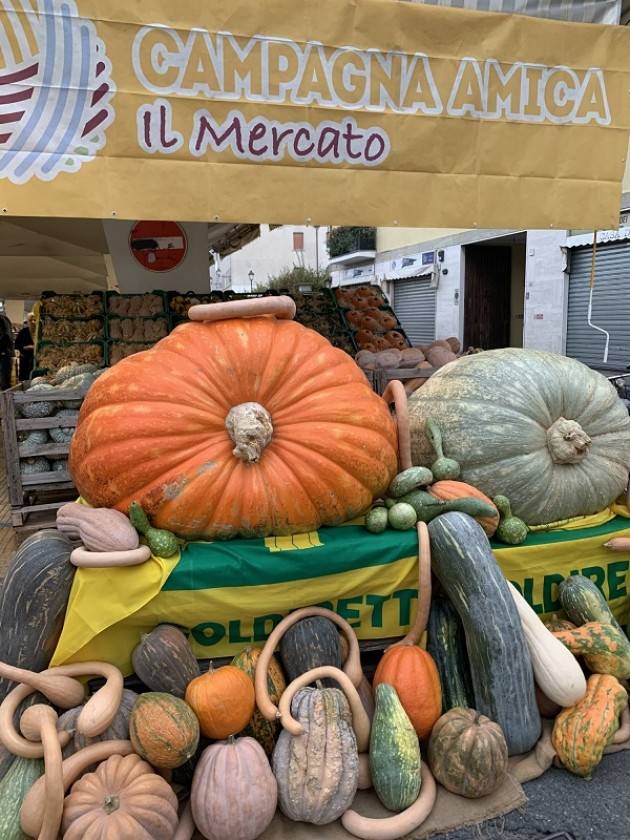 Crema, domenica 26 settembre  Zucca DAY  al Mercato di Campagna Amica