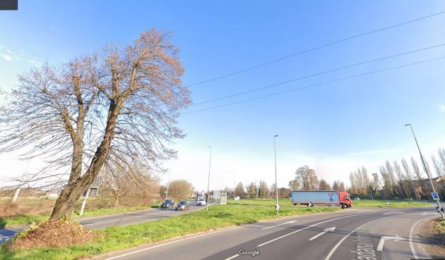 Cremona Alberi tagliati circonvallazione ne mancano 80 mai sostituiti.