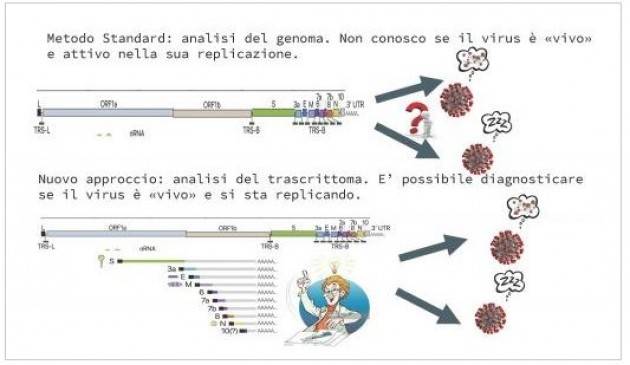 La nuova ricerca del Cnr su Come capire il livello di infezione da SARS-CoV-2