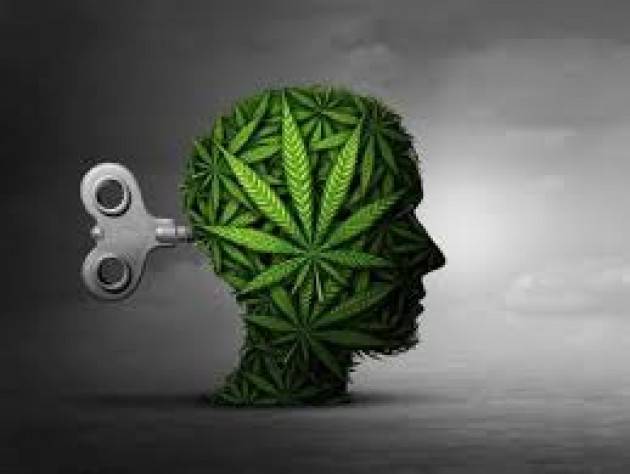 Cannabis, adolescenti e normative