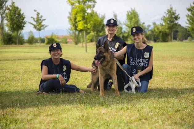 CREMONA. APERTE ISCRIZIONI CORSO GRATUITO PER DIVENTARE GUARDIA ZOOFILA OIPA