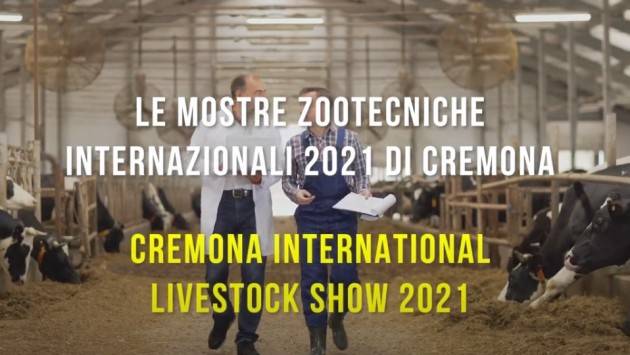 CREMONA SI PREPARA AD ACCOGLIERE 26-28 NOVEMBRE L’UNICA MOSTRA ZOOTECNICA I