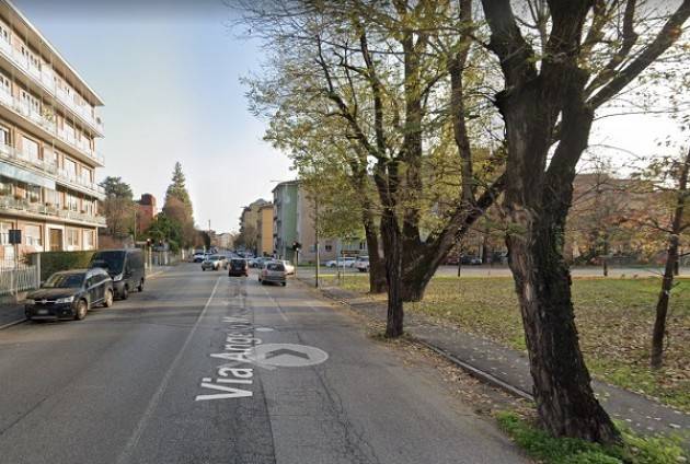 (CR) Via Massarotti n.80 alberi tagliati mai sostituiti (-737 totale)
