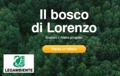 Legambiente Lombardia Un milione di alberi entro il 2025