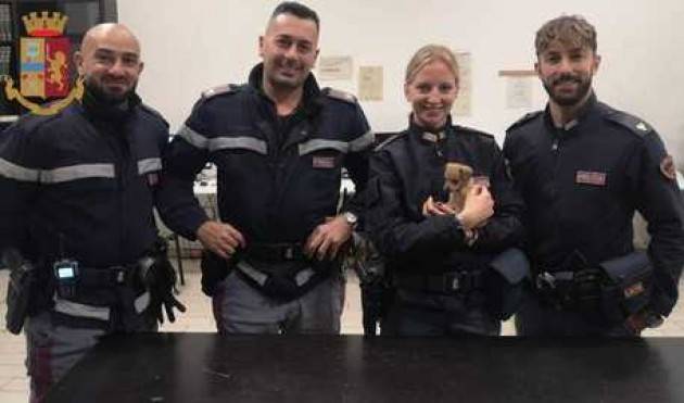 Polizia 'salva' cagnolino a Milano, lo adotterà una agente