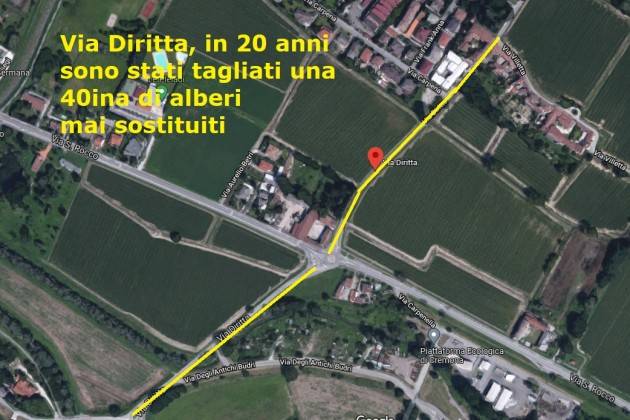 (CR) Alberi Tagliati - 40 via Diritta;-50 zona Piattaforma ecologica;(tot. - 967)