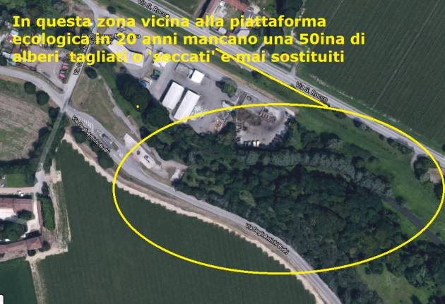 (CR) Alberi Tagliati - 40 via Diritta;-50 zona Piattaforma ecologica;(tot. - 967)