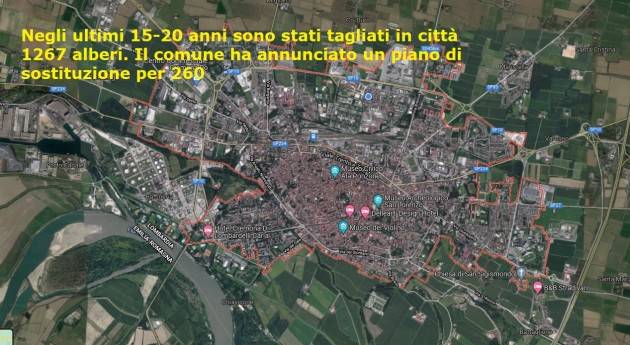 (CR) Sono 1276 gli alberi tagliati in città negli ultimi 15 anni. Solo per 260 è prevista la ripiantumazione