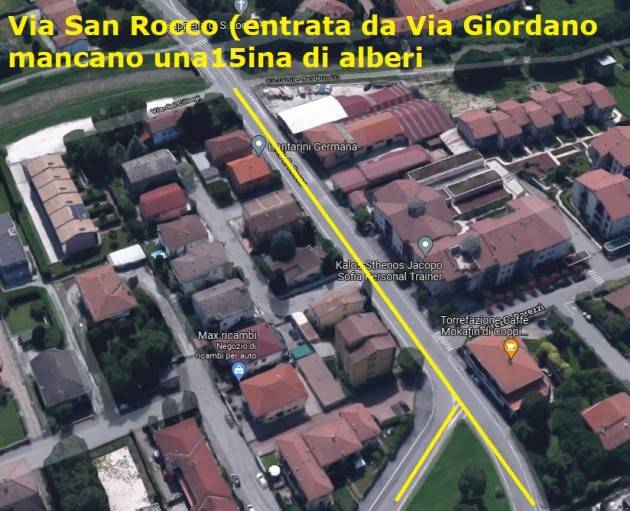 (CR) Sono 1276 gli alberi tagliati in città negli ultimi 15 anni. Solo per 260 è prevista la ripiantumazione