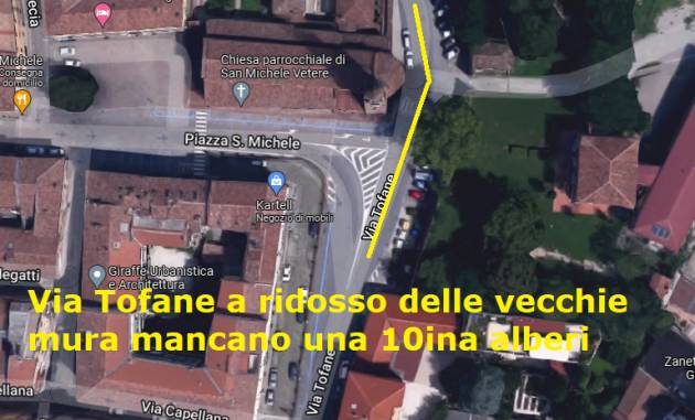 (CR) Sono 1276 gli alberi tagliati in città negli ultimi 15 anni. Solo per 260 è prevista la ripiantumazione