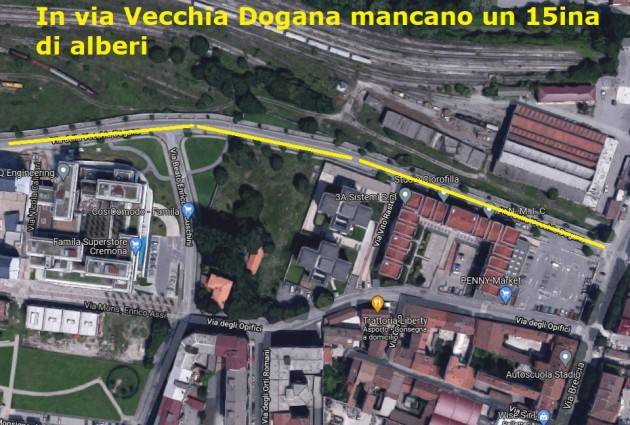 (CR) Sono 1276 gli alberi tagliati in città negli ultimi 15 anni. Solo per 260 è prevista la ripiantumazione