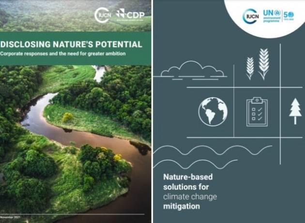 Soluzioni basate sulla natura per mantenere il riscaldamento globale al di sotto di 1,5°C