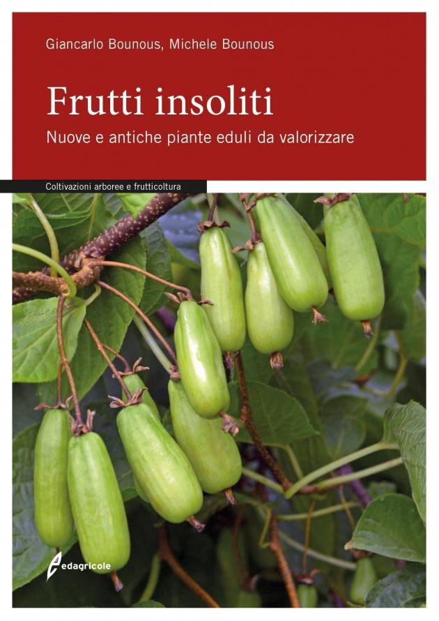 EDAGRICOLE FRUTTI INSOLITI |Giancarlo Bounous e Michele Bounous